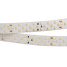 Лента светодиодная RT 2-5000 24V Day5000 3x2 (2835, 1260 LED, LUX) (Arlight, 27 Вт/м, IP20)