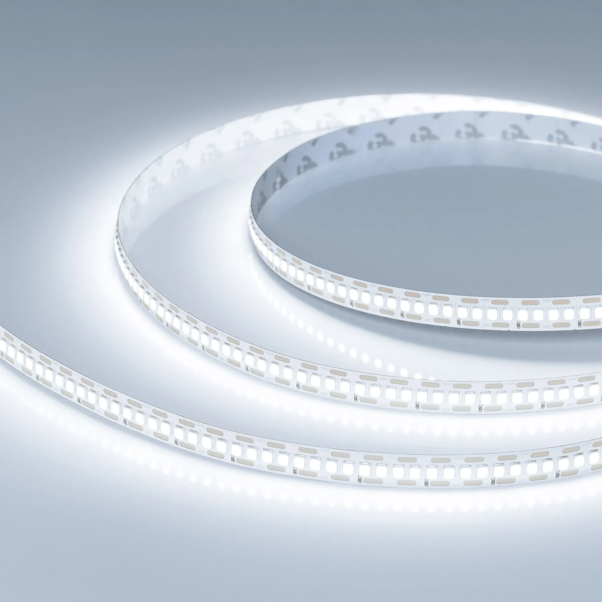 Лента FC-A240-10mm 24V White6000-CX1 (24 W/m, IP20, 5m) (Arlight, резка 1 светодиод) - изображение товара